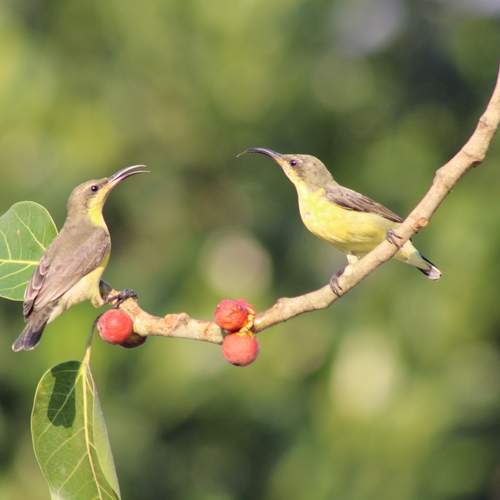 Photo #13066439