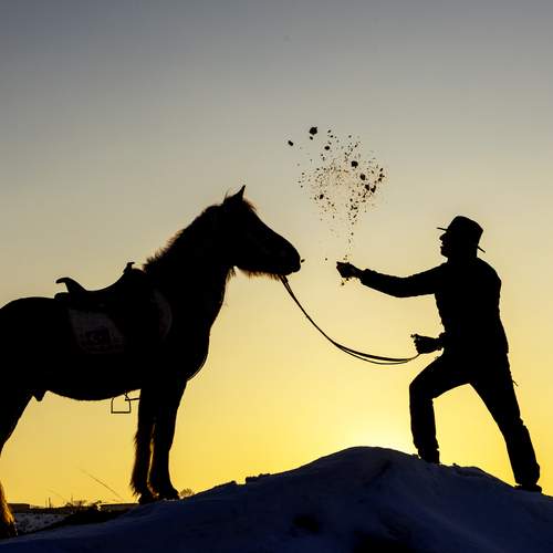 Фотография #13066485