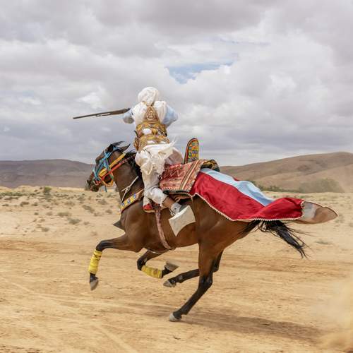 Фотография #13066486