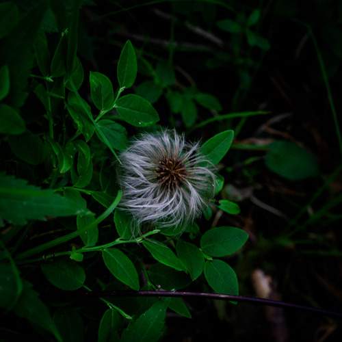 Photo #13066508