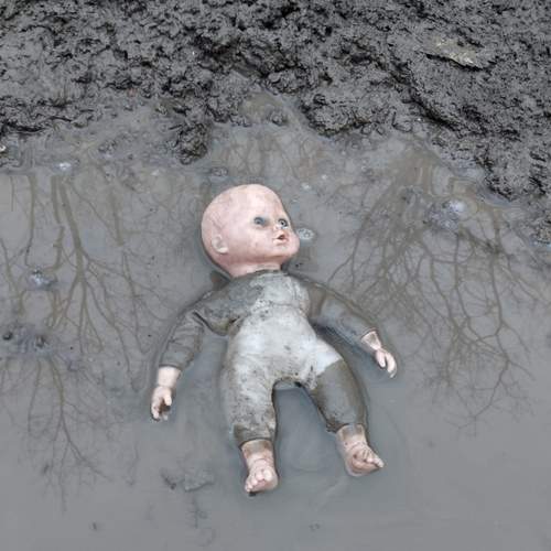 Photo #13066574