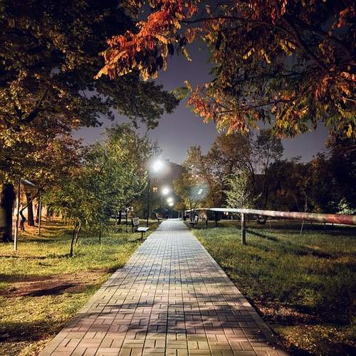 Photo #13066630