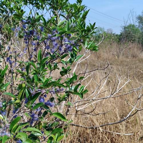 Between dry earth and endless blue, hope grows.