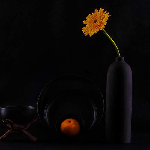 Photo #13066931