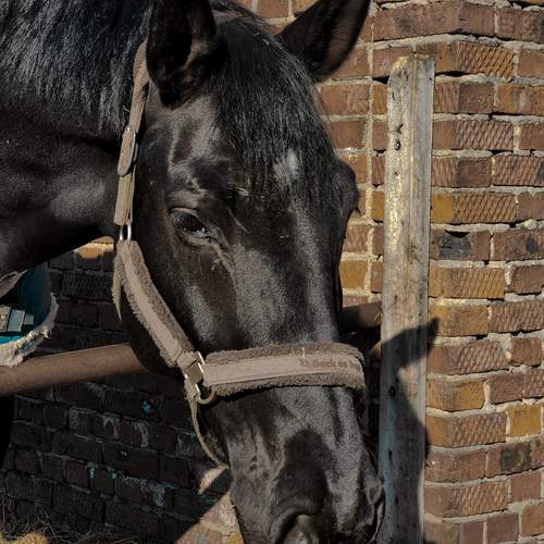 Photo #13066969