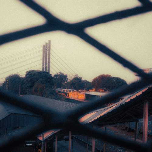 Urban jungle