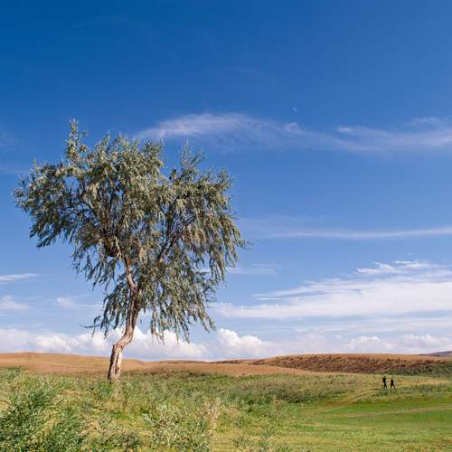 Photo #13067106