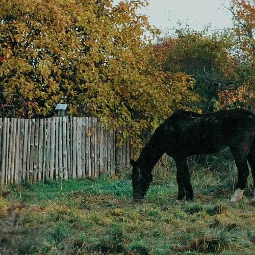 Photo #13067423