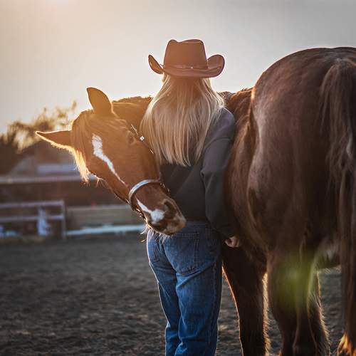 The Horse as a Mirror of the Soul