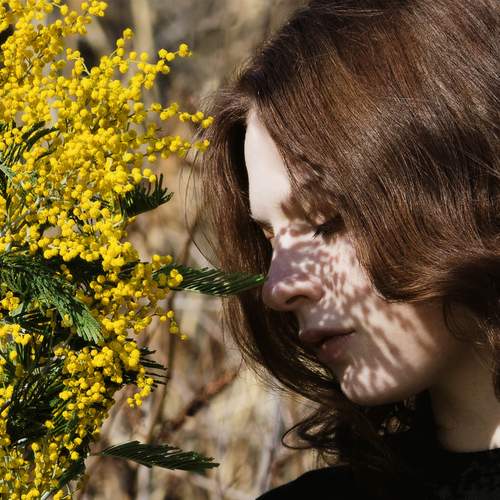 Photo #13067460
