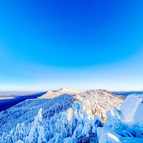 Photo #13067467