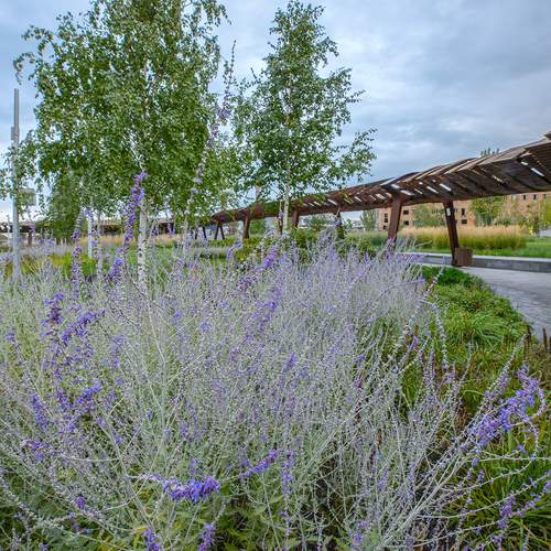 Фотография #13067541