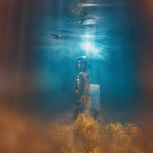 Photo #13067555