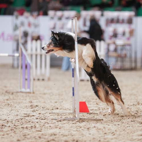 Фотография #13067582