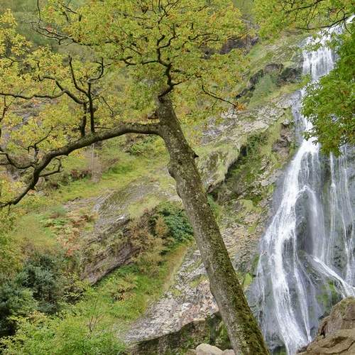 Powerscourt Waterfall
