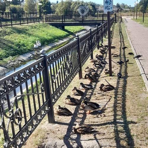 Photo #13067889