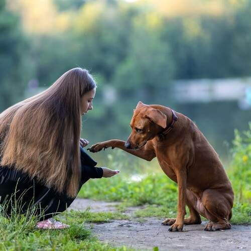 Photo #13067893