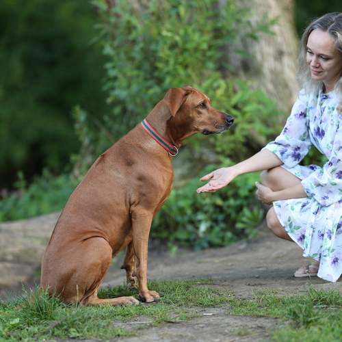 Photo #13067907