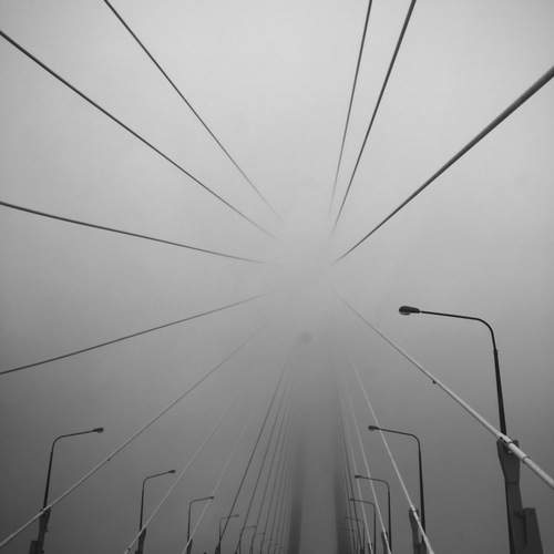 Photo #13067961