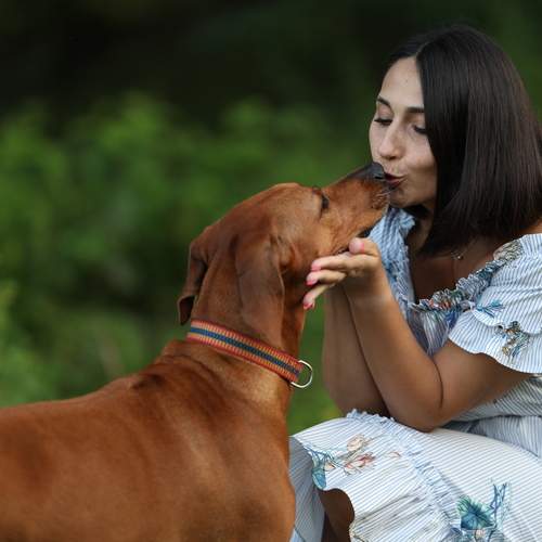 Photo #13068018