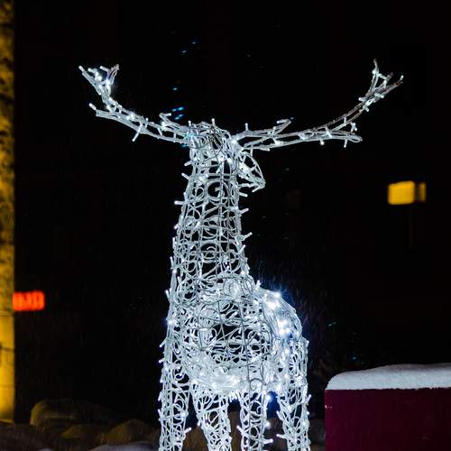 неси меня олень...