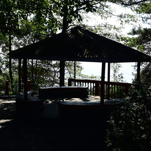 Photo #13068274