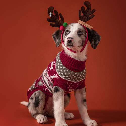 Фотография #13068352