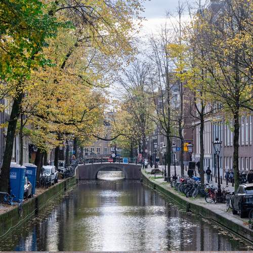 Photo #13068353