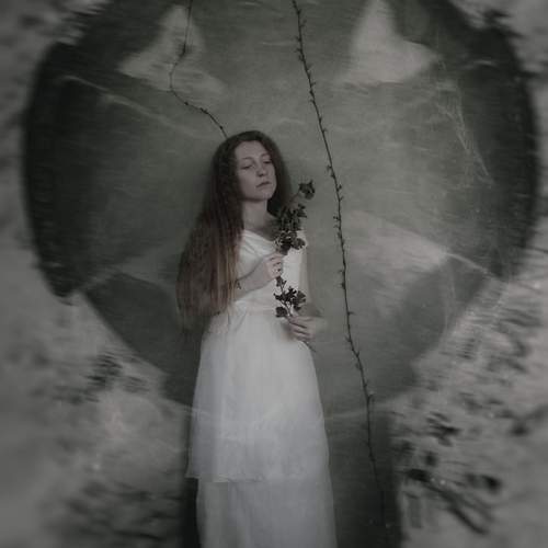 Alice