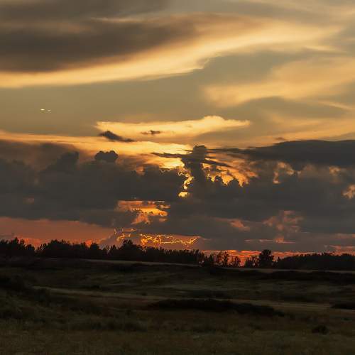 Photo #13068551