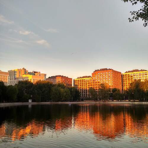 Photo #13068589