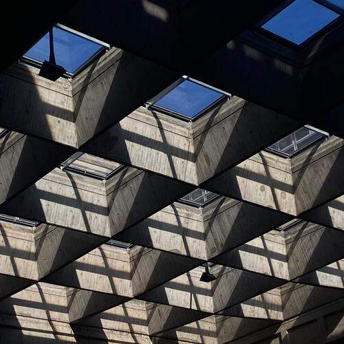 Photo #13068625