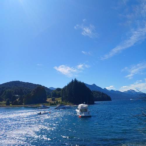 Photo #13068650