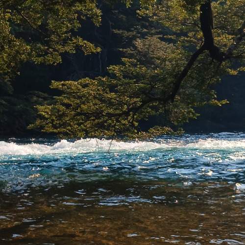 Photo #13068651