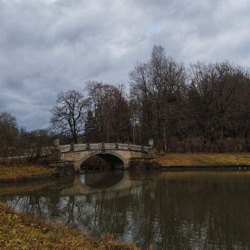 Photo #13068659