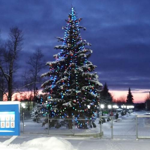Photo #13068734