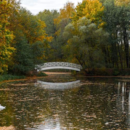 Photo #13068804