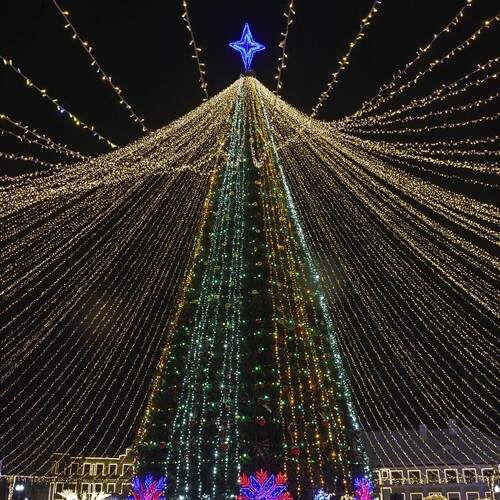 Photo #13068822
