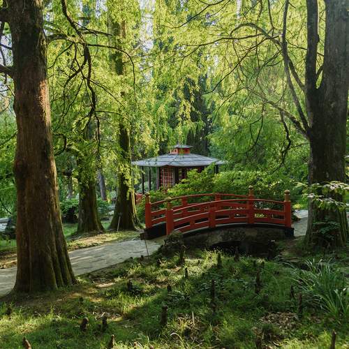 Photo #13068845
