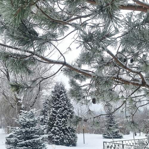 Photo #13068888