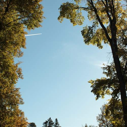 Photo #13068969