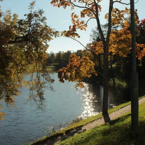 Photo #13068988