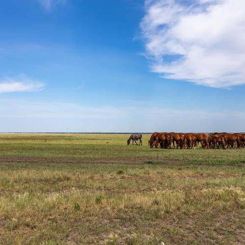 Photo #13069090