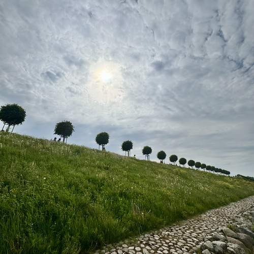Photo #13069108