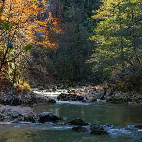 Photo #13069126