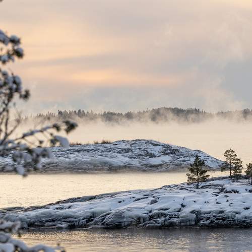 Photo #13069219