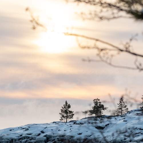 Photo #13069231