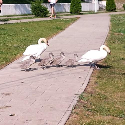 Photo #13069287