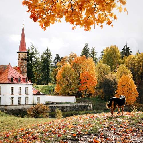 Фотография #13069290