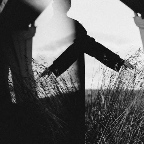 Фотография #13069302